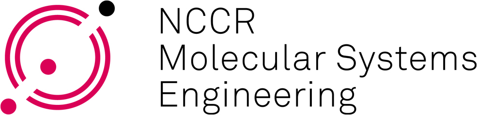 NCCR MSE LOGO standard-colour