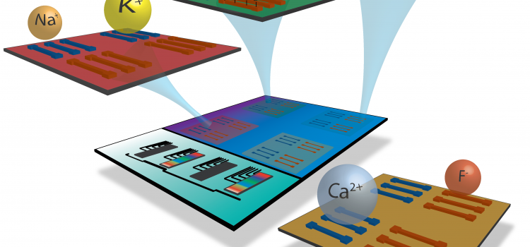 New publication on multiple-ions detection using Si nanoribbons ISFETs by Ralph Stoop et al.