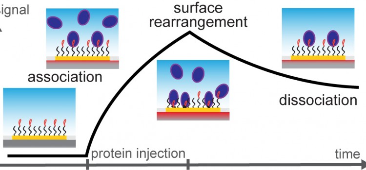 Our work “Label-Free FimH Protein Interaction Analysis Using Silicon Nanoribbon BioFETs” just appeared in ACS Sensors