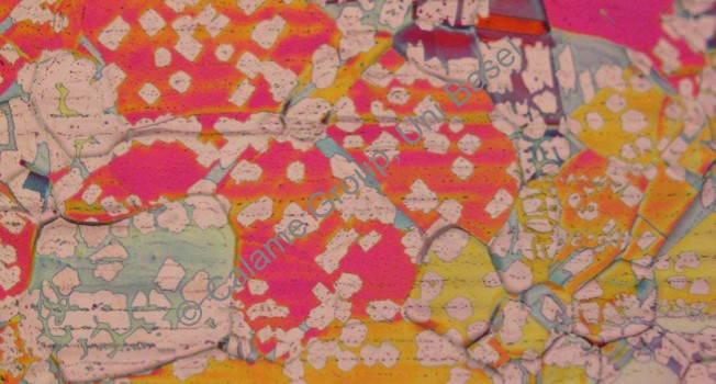 Kishan Thodkar won SNI NanoImage Award