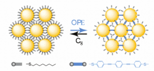 Schematics of molecular exchange in NP array device.